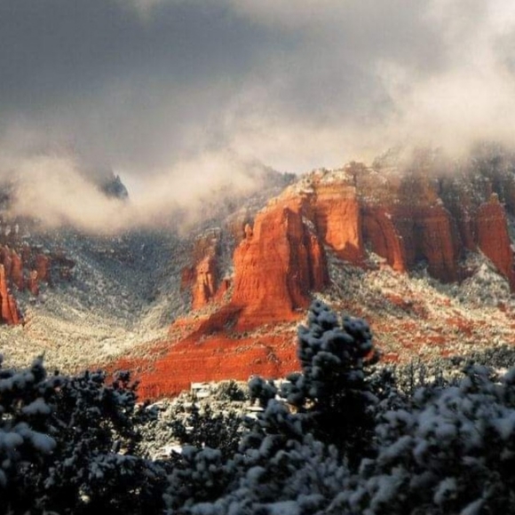 Meet your Posher, Lynnette - Picture 14 of 16